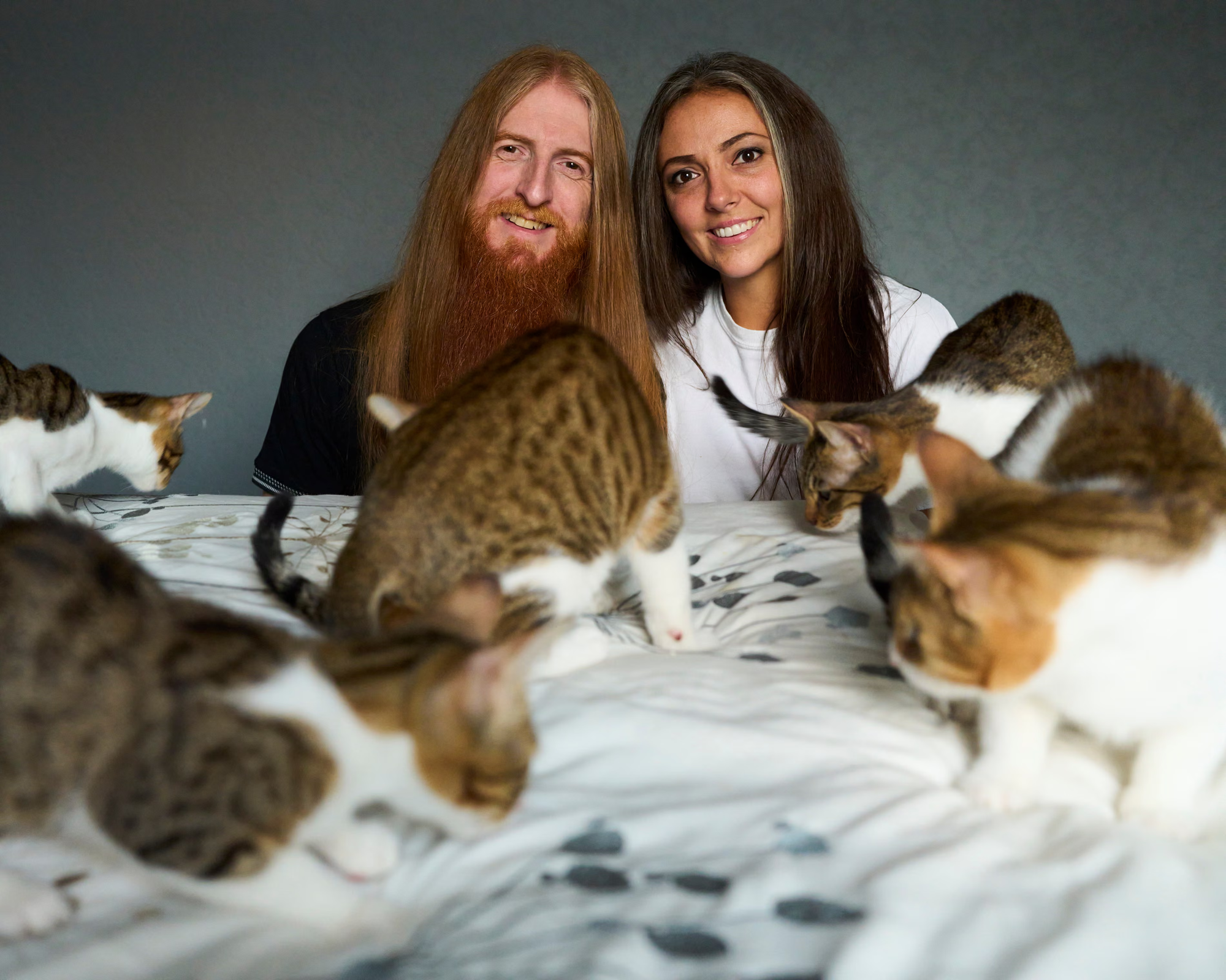 Aegean Airlines' Cat-astrophe; Loses Cats in Transit