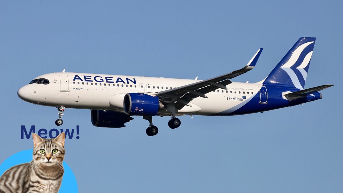 Aegean Airlines' Cat-astrophe; Loses Cats in Transit